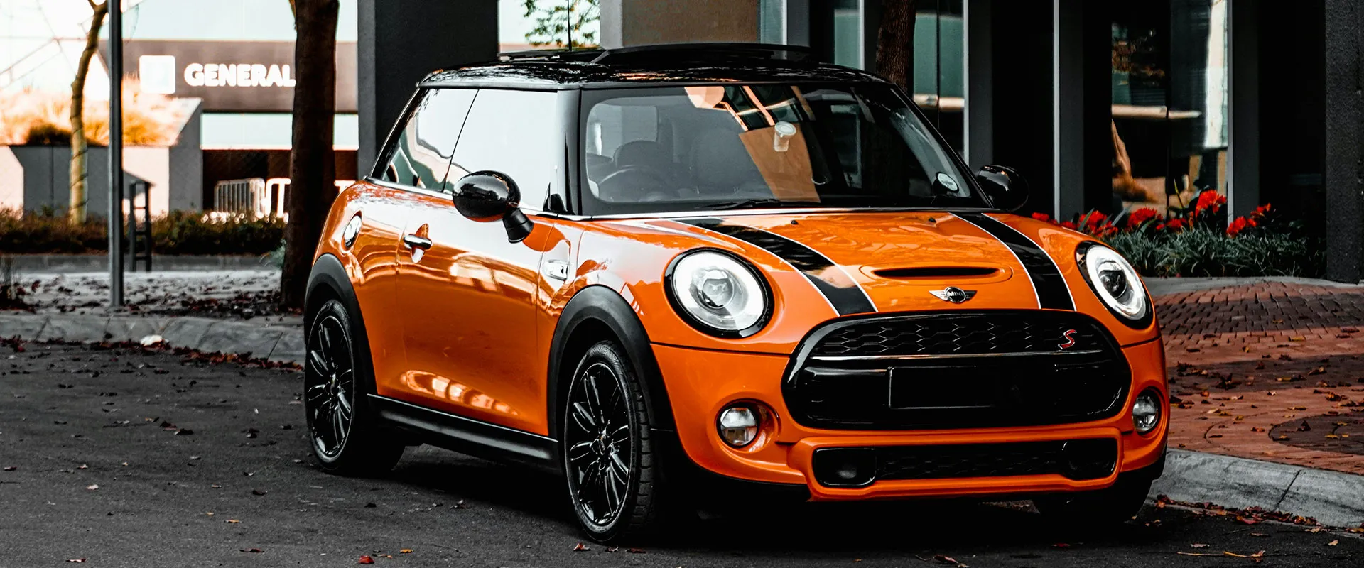 European Repair near Orlando, FL